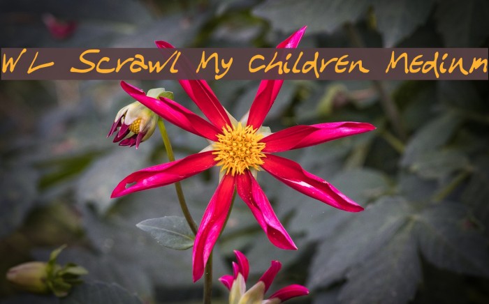 WL Scrawl My Children Medium Font examples
