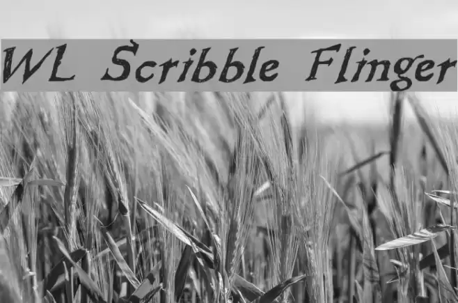 WL Scribble Flinger Font examples