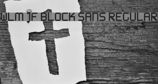 WLM 1F Block Sans Regular Polices examples