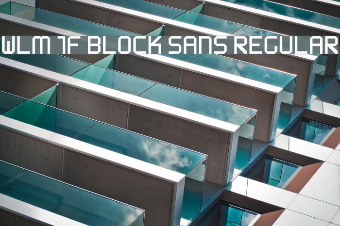 WLM 1F Block Sans Regular Polices examples