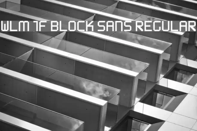 WLM 1F Block Sans Regular Polices examples
