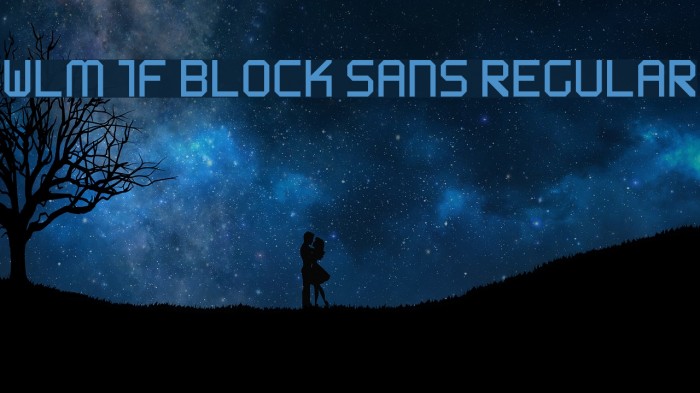 WLM 1F Block Sans Regular Polices examples
