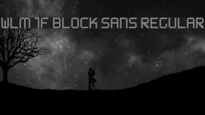 WLM 1F Block Sans Regular Polices examples
