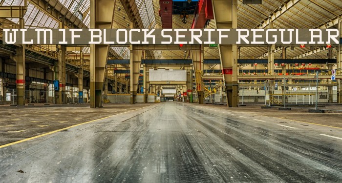 WLM 1F Block Serif Regular Font examples