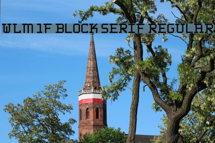 WLM 1F Block Serif Regular Font examples