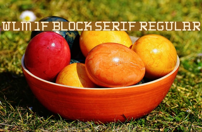 WLM 1F Block Serif Regular Font examples