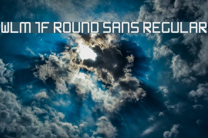 WLM 1F Round Sans Regular Font examples