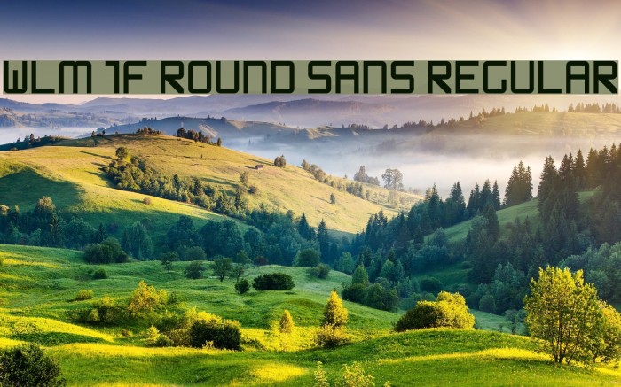 WLM 1F Round Sans Regular Font examples