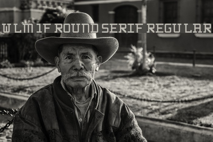 WLM 1F Round Serif Regular Font examples