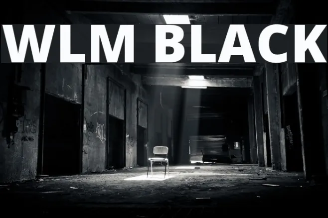 WLM Black Example 3