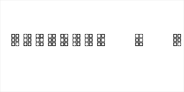 WLM Braille 4 Regular Logo