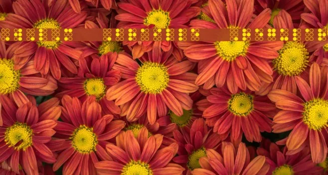 WLM Braille Regular Example 3
