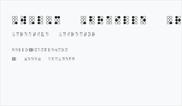 WLM Braille Regular Business Card