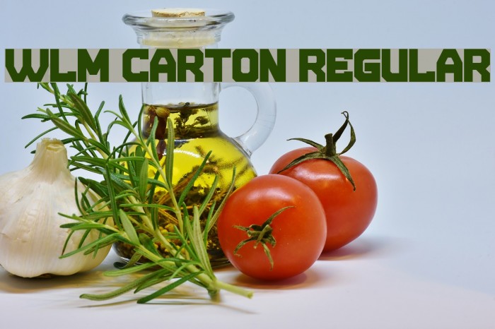 WLM Carton Regular Font examples