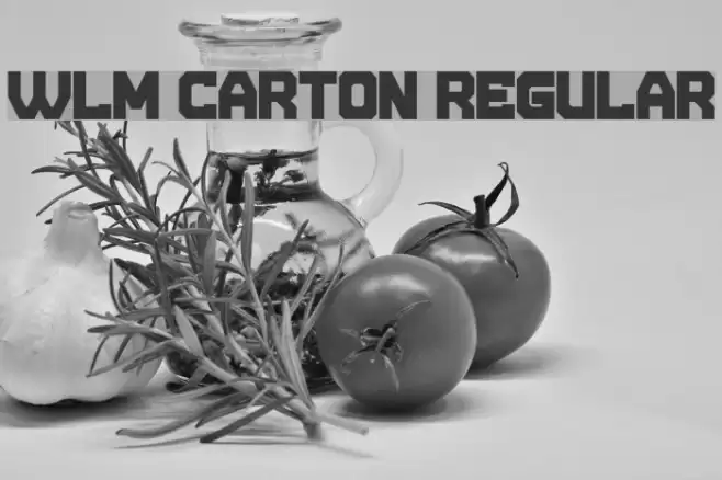 WLM Carton Regular Font examples