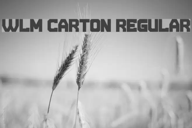 WLM Carton Regular Font examples