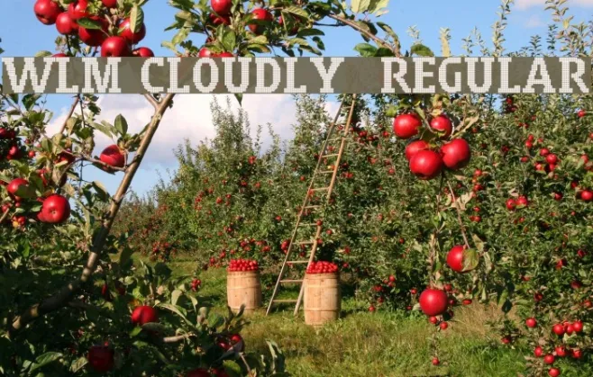 WLM Cloudly 2 Regular Example 1