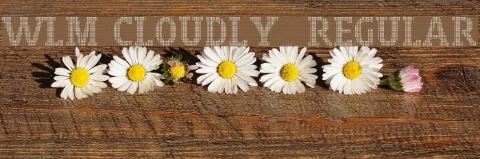 WLM Cloudly 3 Regular Schriftart examples