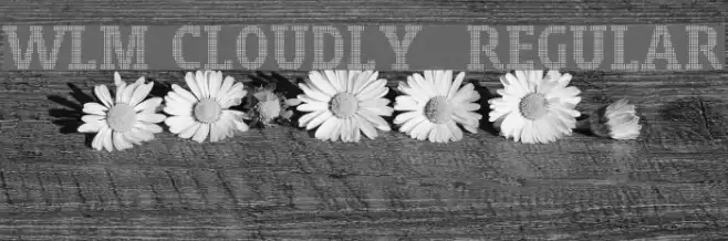 WLM Cloudly 3 Regular フォント examples