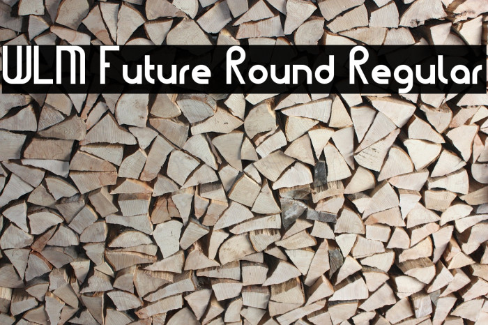 WLM Future Round Regular Font examples