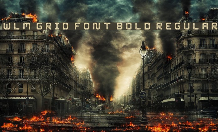 WLM Grid Font Bold Regular Font examples