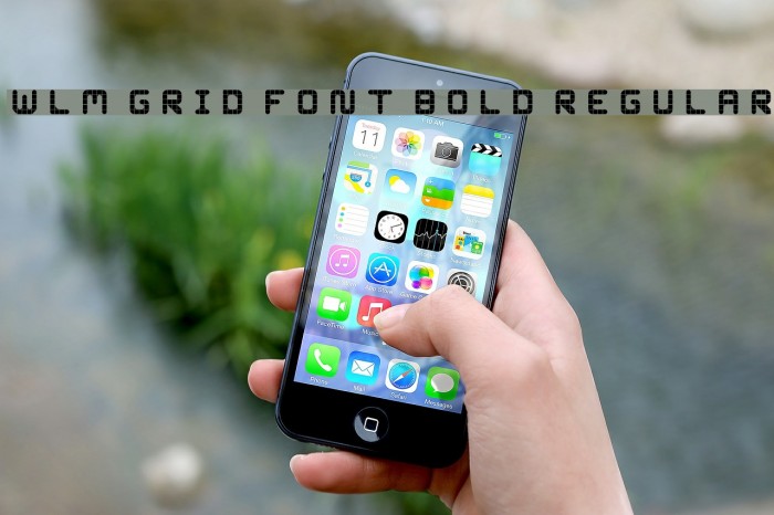 WLM Grid Font Bold Regular Font examples