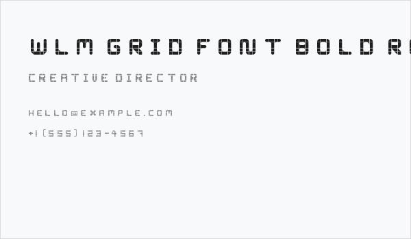 WLM Grid Font Bold Regular Business Card