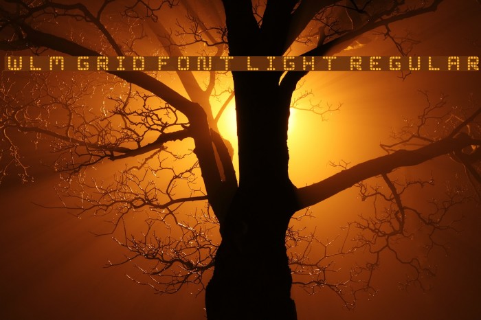 WLM Grid Font Light Regular Example 1