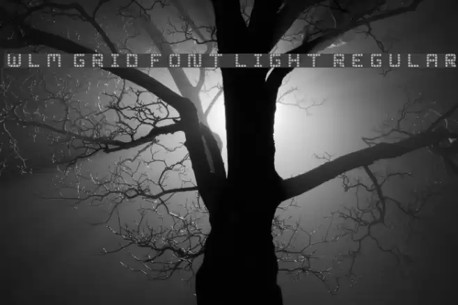 WLM Grid Font Light Regular Font examples