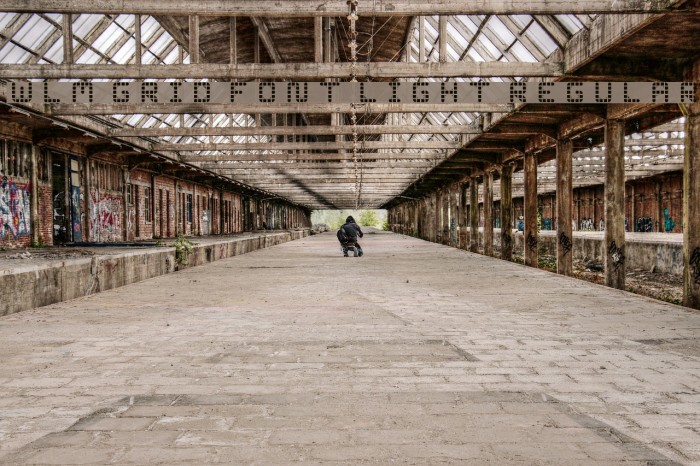 WLM Grid Font Light Regular Example 3