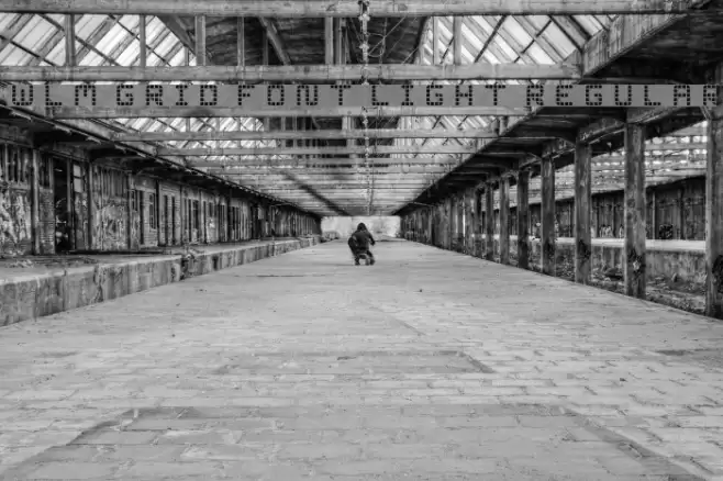 WLM Grid Font Light Regular Font examples