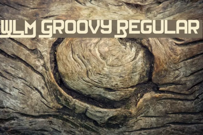 WLM Groovy Regular Example 1