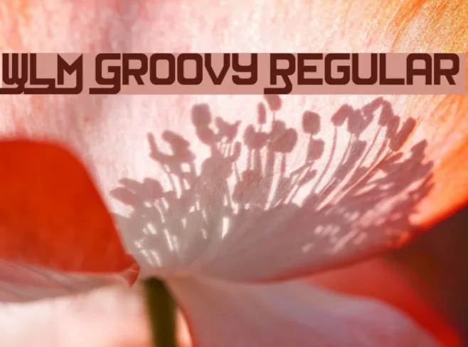 WLM Groovy Regular Example 2