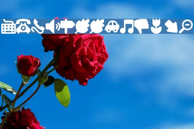 WLM-Happy-Icons Example 3