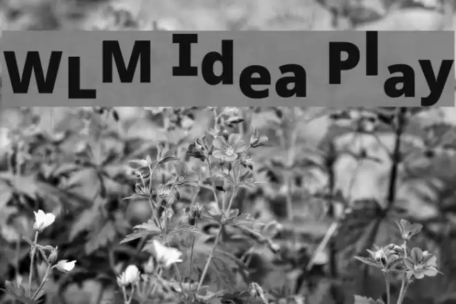 WLM Idea Play Font examples