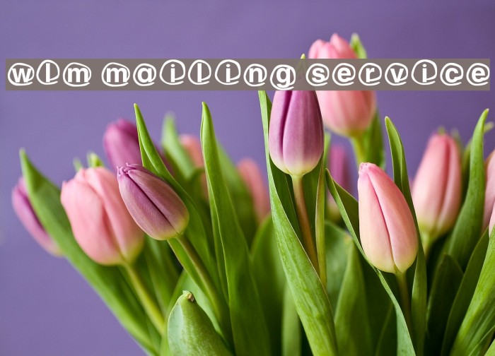 WLM Mailing service Font examples