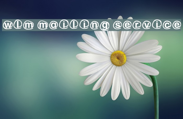 WLM Mailing service Font examples
