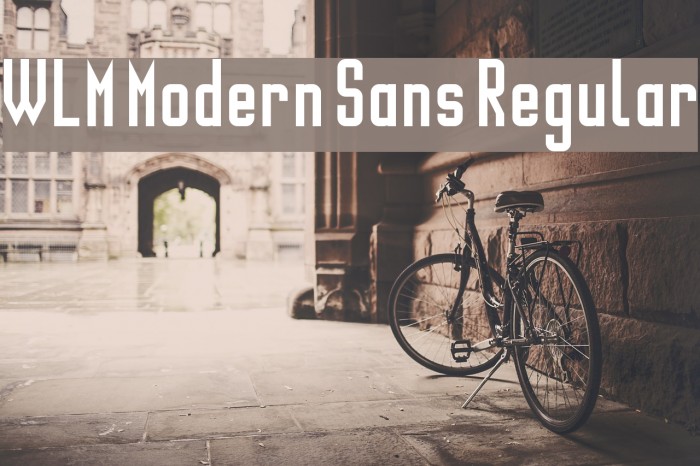 WLM Modern Sans Regular Шрифта examples