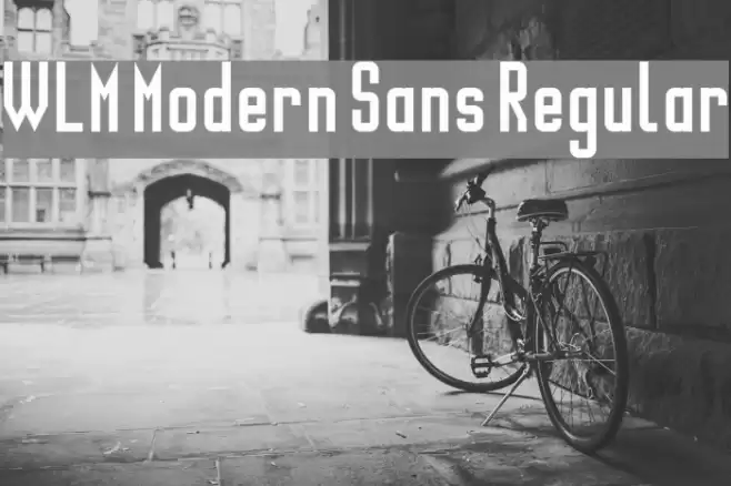 WLM Modern Sans Regular Шрифта examples