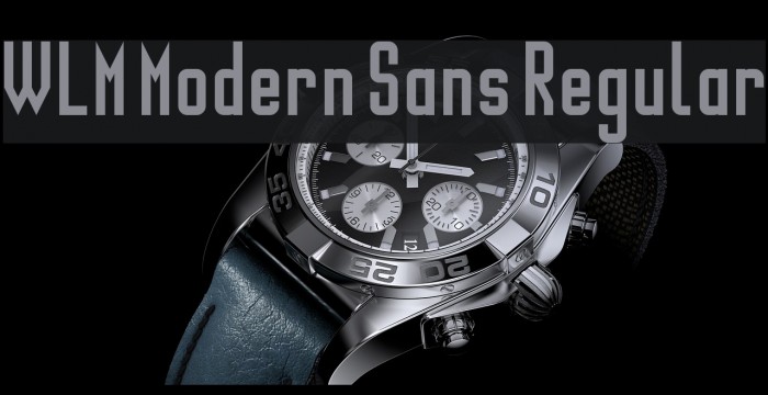 WLM Modern Sans Regular Шрифта examples