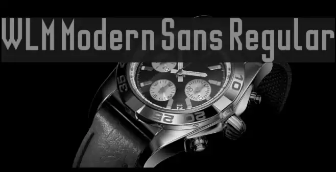 WLM Modern Sans Regular Шрифта examples