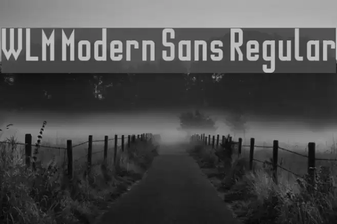 WLM Modern Sans Regular Шрифта examples