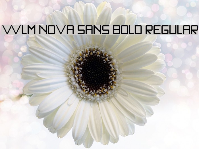 WLM Nova Sans Bold Regular Font examples
