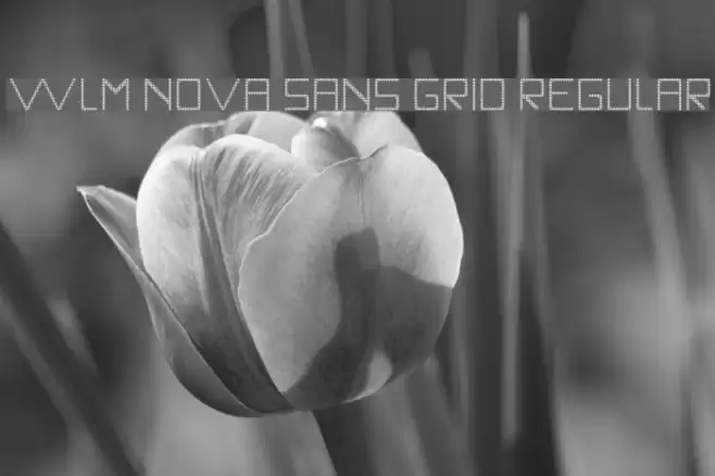 WLM Nova Sans Grid Regular Font examples
