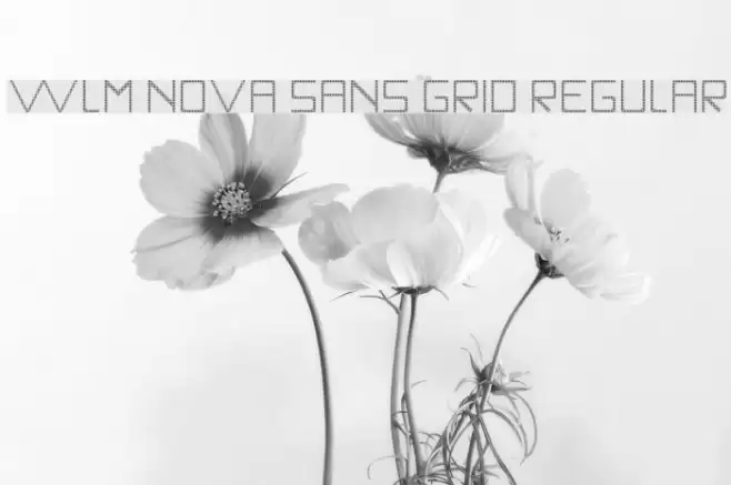 WLM Nova Sans Grid Regular Font examples