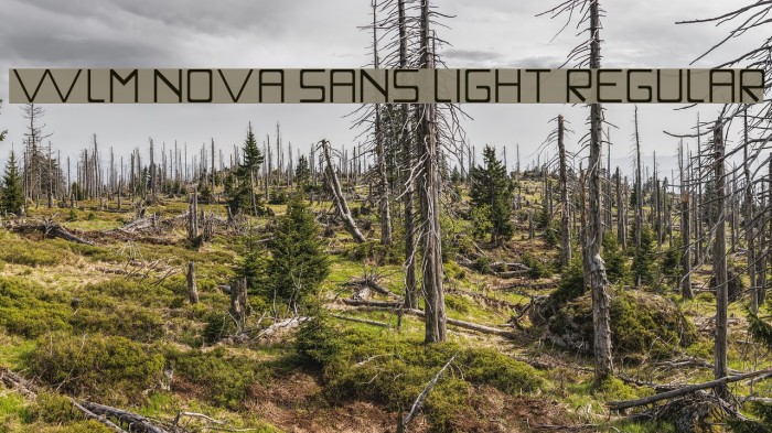 WLM Nova Sans Light Regular Font examples