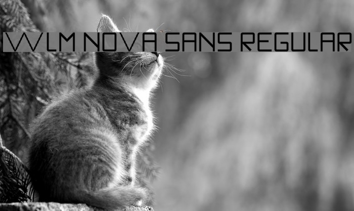 WLM Nova Sans Regular Font examples
