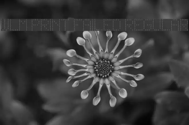 WLM Print Failed Regular خط examples