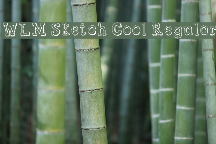 WLM Sketch Cool Regular फ़ॉन्ट examples