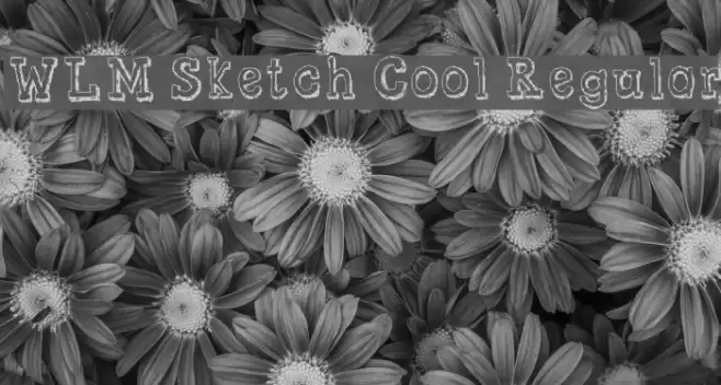 WLM Sketch Cool Regular Font examples